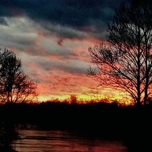 Meet your Posher, Daphne